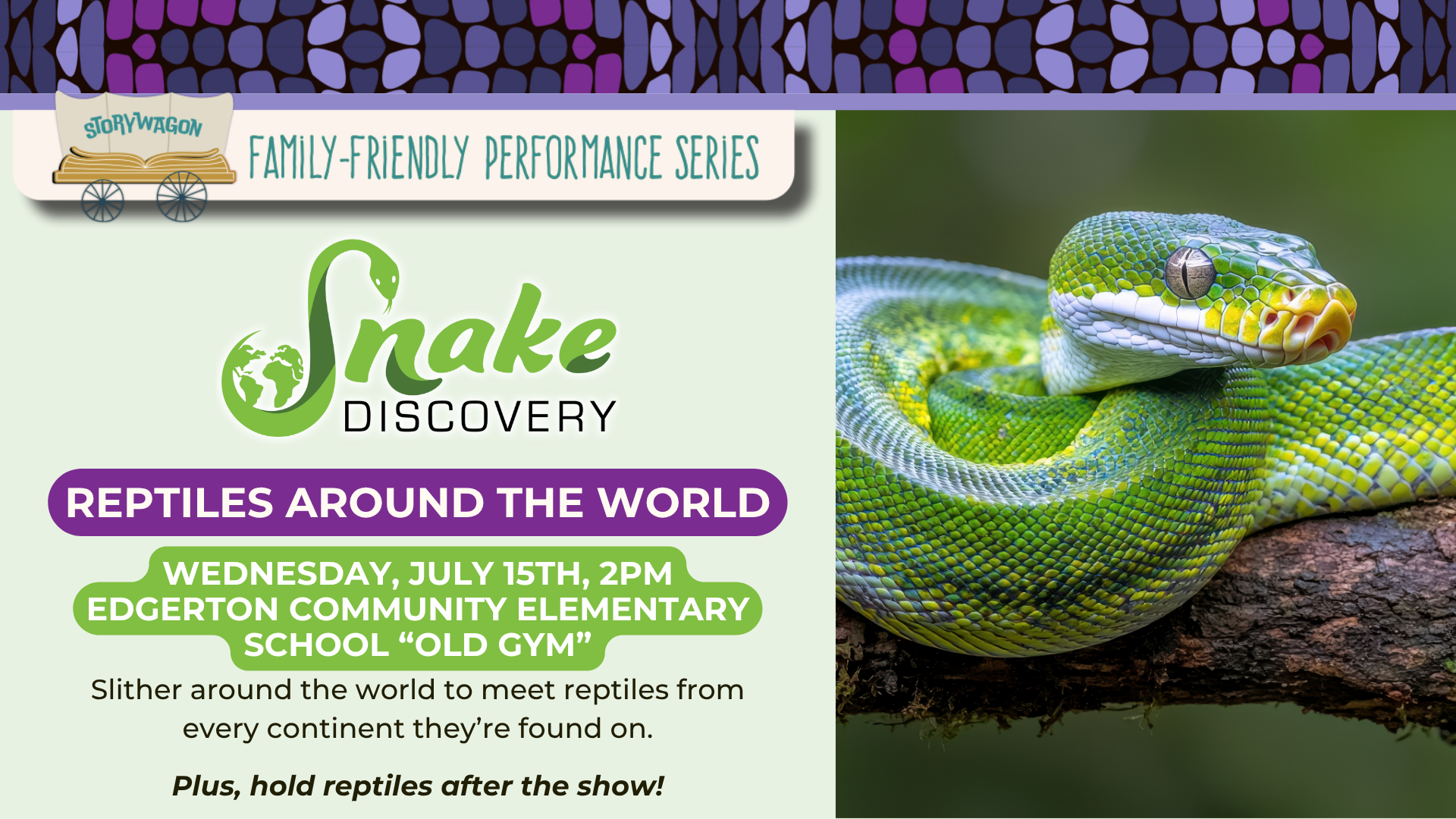 Storywagon: Snake Discovery
Reptiles Around The World
Wednesday July 15th, 2pm at Edgerton Community Elementary School "Old Gym"
Slither around the world to meet reptiles from every continent they're found on.
Plus, hold reptiles after the show!

The right image is of a green snake laying on a large branch
